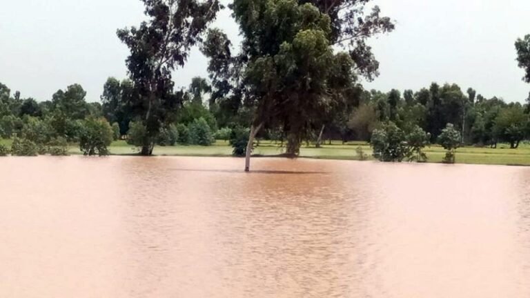 ਡੈਮ ’ਚੋਂ ਮੁੜ ਪਾਣੀ ਛੱਡਣ ਕਾਰਨ ਪਿੰਡਾਂ ’ਚ ਸਹਿਮ