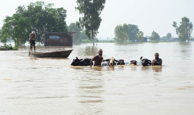 ਪੰਜਾਬ ਵਿੱਚ ਹੜ੍ਹਾਂ ਕਾਰਨ 12 ਜ਼ਿਲ੍ਹੇ ਪ੍ਰਭਾਵਿਤ; ਹੁਣ ਤੱਕ 29 ਮੌਤਾਂ