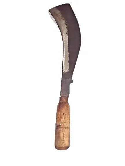 ਪਤੀ ਵੱਲੋਂ ਦਾਤਰ ਮਾਰ ਕੇ ਪਤਨੀ ਦਾ ਕਤਲ